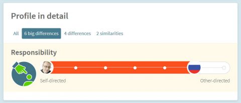 Big differences in Culture overview profile