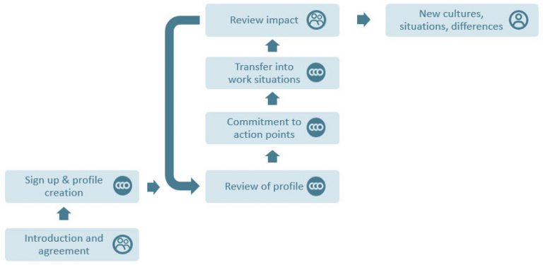 Blended learning: intercultural coaching programme structure